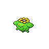 mankey